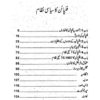 Philippine Malaysia Aur Indonesia ka Siyasi Nizam - Image 3