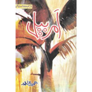 Book Cover of Amar Bail by Umeera Ahmed