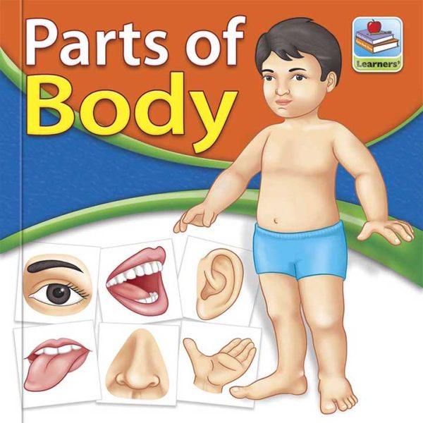 Flash Cards Parts of Body