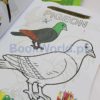 Set of 12 Coloring Books - Image 7
