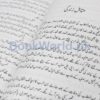 Rasool e Arabi Aur Dur e Jadeed by Allama Syed Muhammad Ismail - Image 3