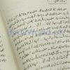 Taguut by Anwar Siddiqui - Image 5