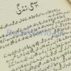 Sherni by Anwar Aligi - Image 5